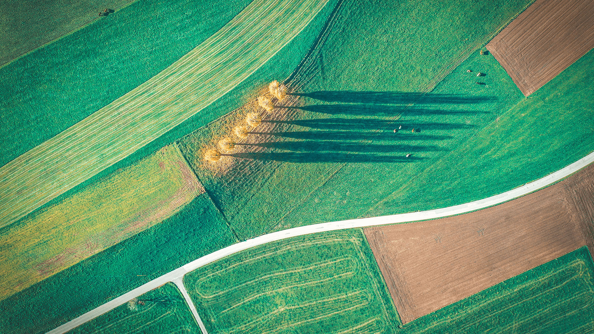 Creï el seu tour privat